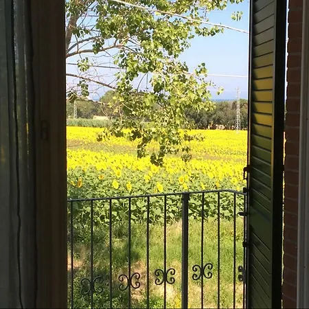 Immersa Tra Le Colline, Appartamento, Vicinissima Al Mare E Con Nuova Piscina Apartament