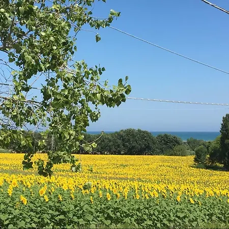 Immersa Tra Le Colline, Vicinissima Al Mare E Con Nuova Piscina